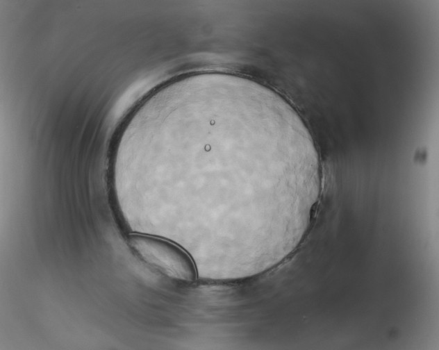 X0000115170150200911251342