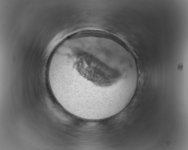 X0000115170151200911251342