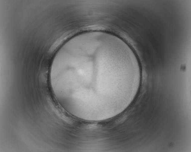 X0000115170153200911251342