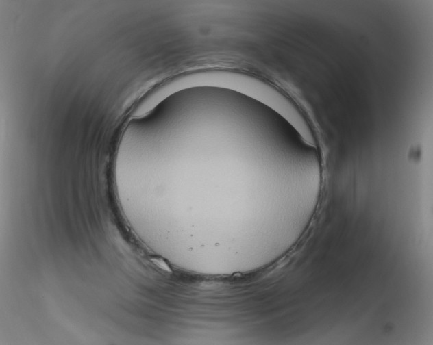 X0000115170154200911251342