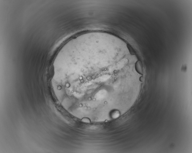 X0000115170155200911251342