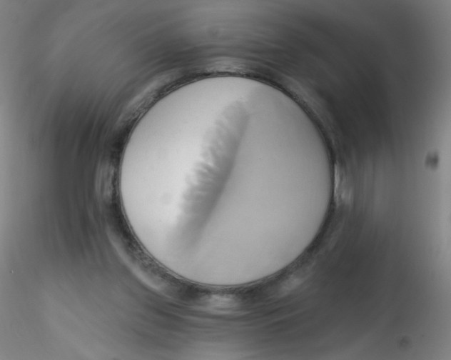 X0000115170157200911251342