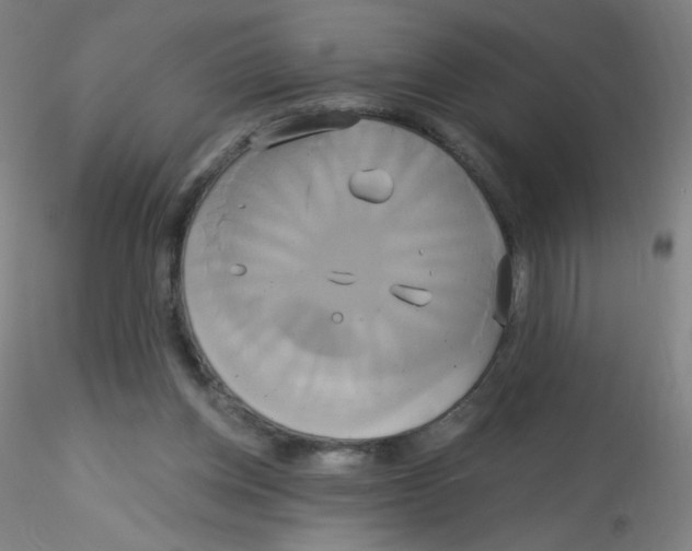 X0000115170158200911251342