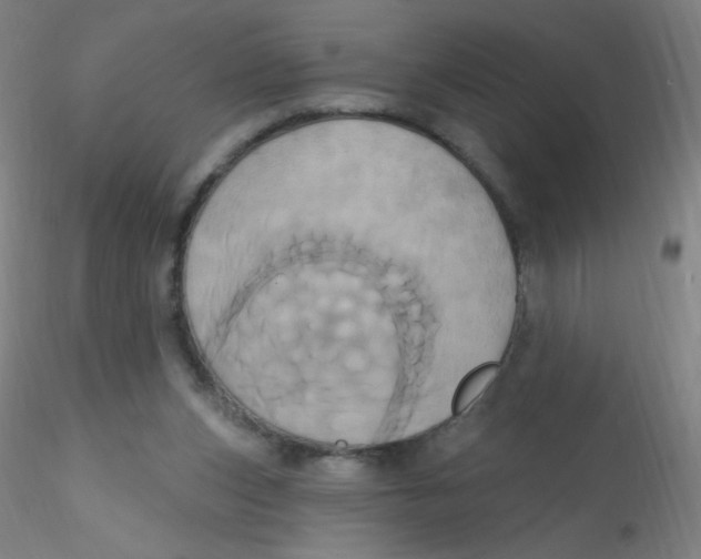 X0000115170159200911251342