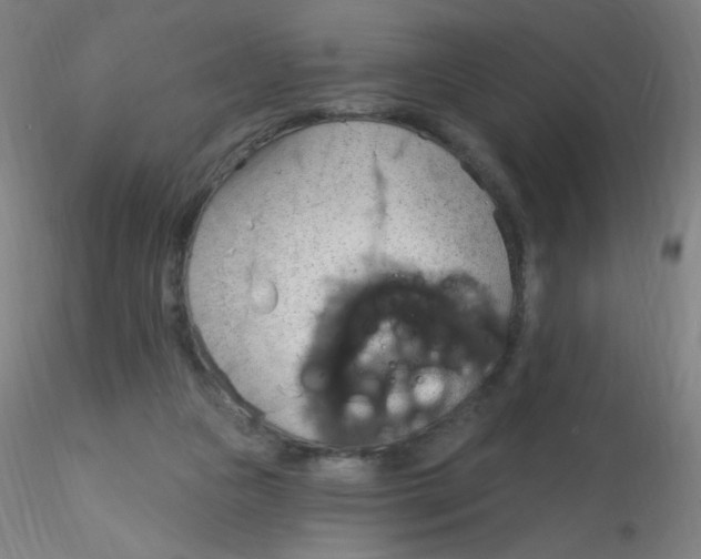 X0000115170161200911251342