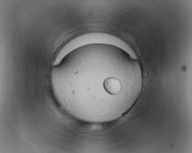 X0000115170162200911251342