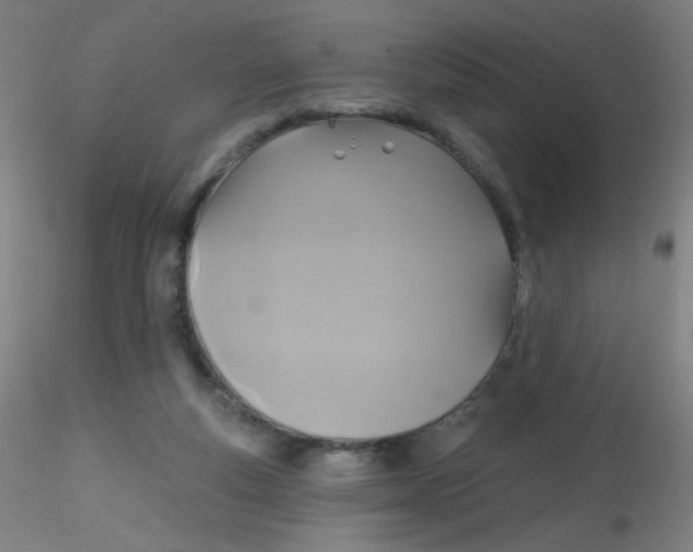 X0000115170163200911251342