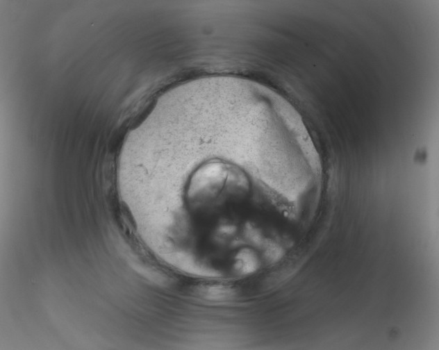 X0000115170165200911251342