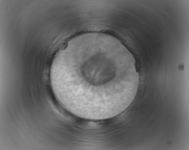 X0000115170166200911251342