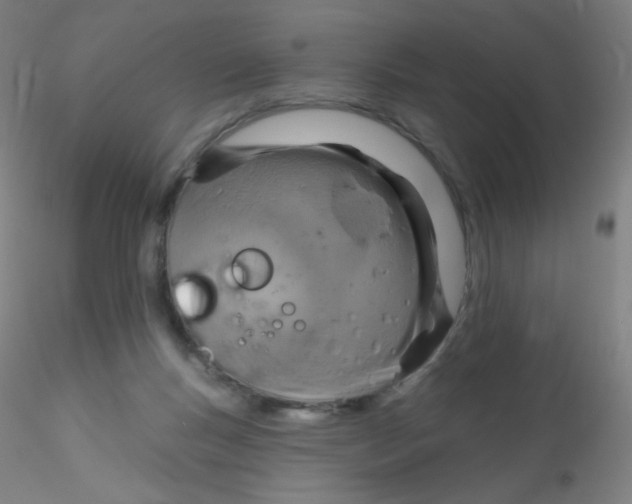 X0000115170167200911251342