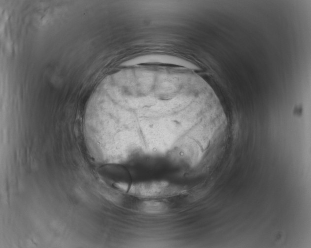 X0000115170169200911251342