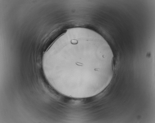 X0000115170170200911251342