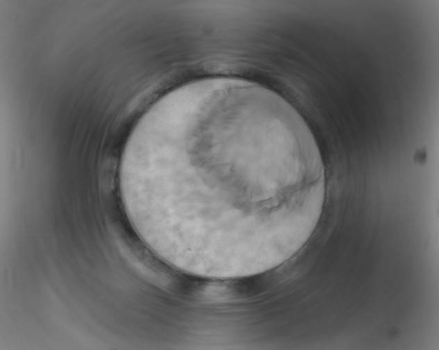 X0000115170171200911251342