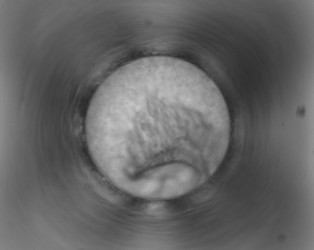 X0000115170173200911251342