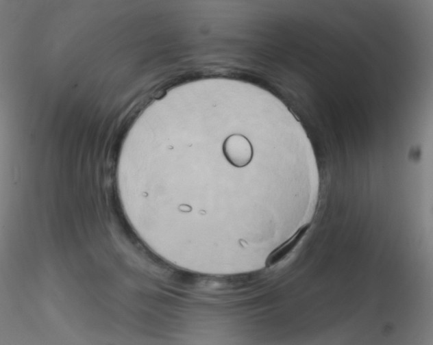 X0000115170174200911251342