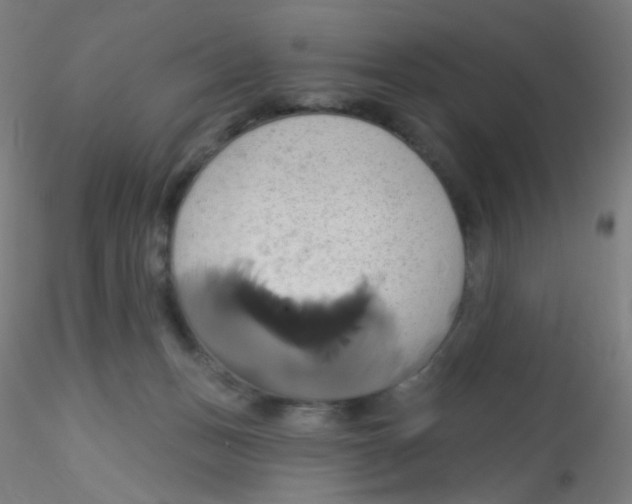 X0000115170175200911251342