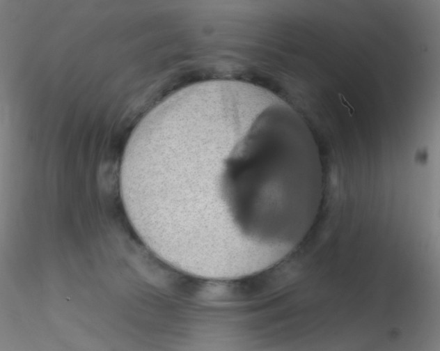 X0000115170177200911251342