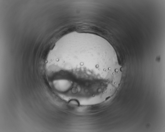 X0000115170178200911251342