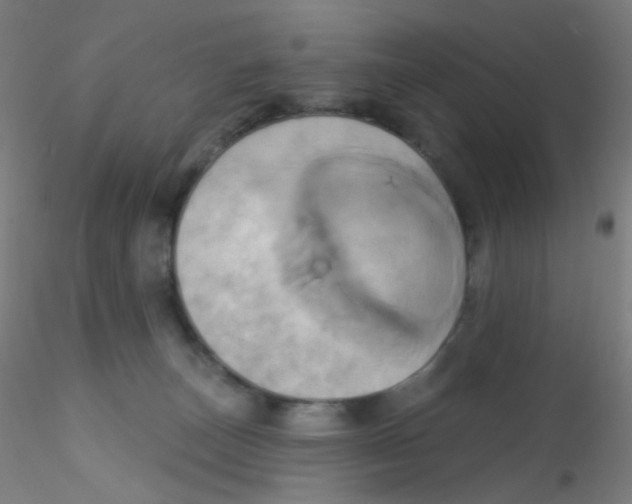 X0000115170179200911251342