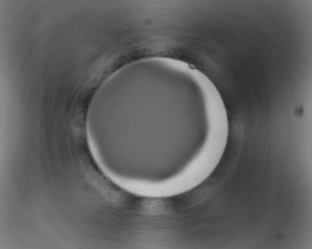 X0000115170181200911251342