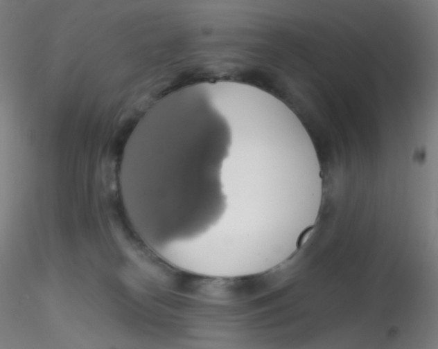 X0000115170182200911251342