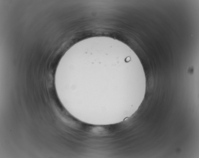 X0000115170183200911251342