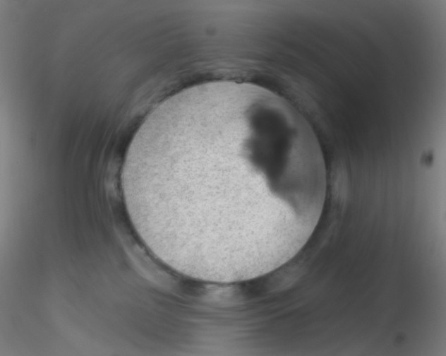 X0000115170185200911251342