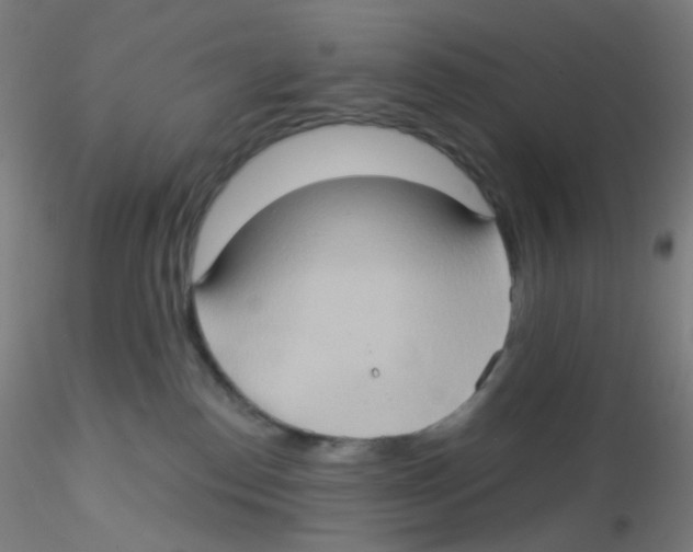 X0000115170186200911251342