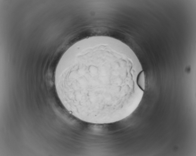 X0000115170187200911251342