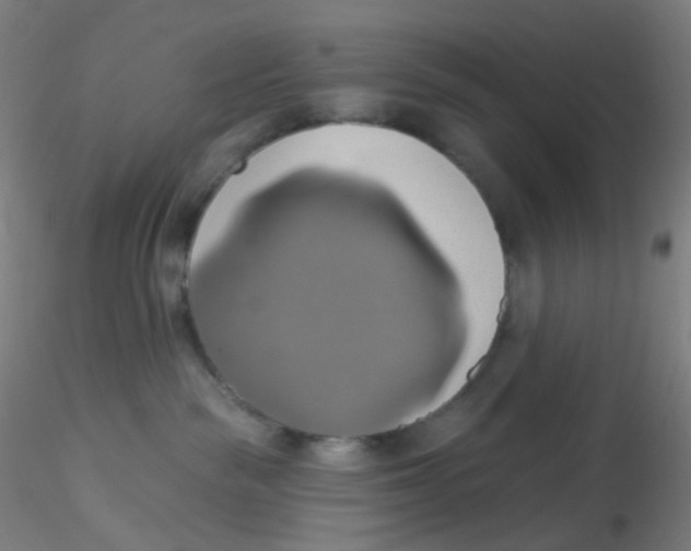 X0000115170189200911251342