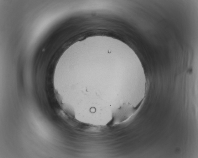 X0000115170190200911251342