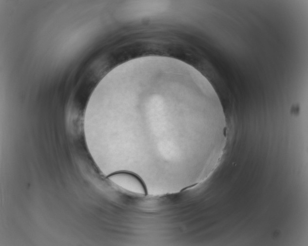 X0000115170191200911251342