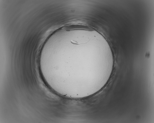 X0000115170193200911251341