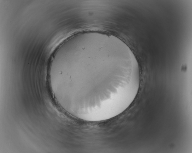 X0000115170194200911251341