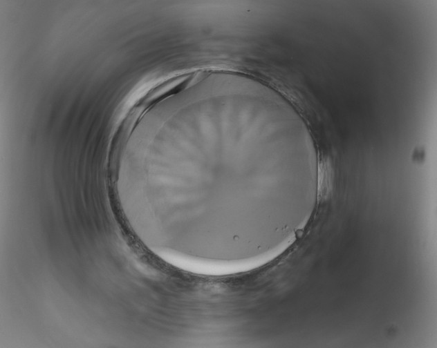 X0000115170195200911251341