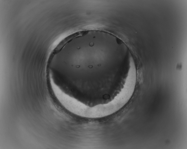 X0000115170196200911251341