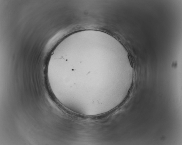 X0000115170197200911251341