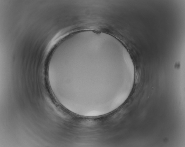 X0000115170198200911251341