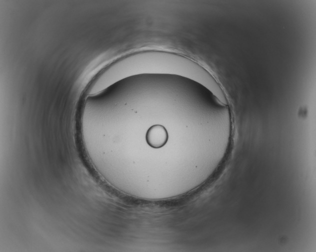 X0000115170199200911251341