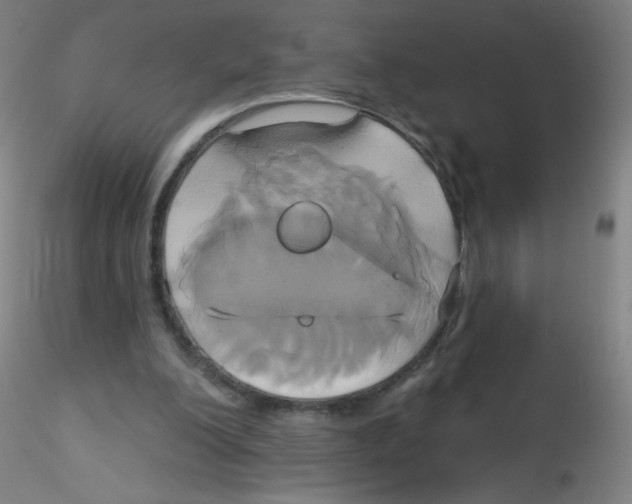 X0000115170200200911251341