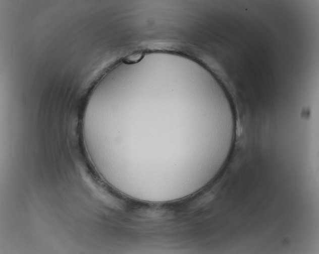 X0000115170201200911251341