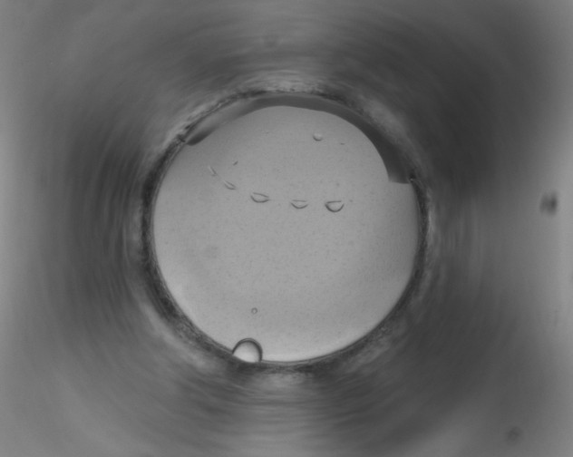 X0000115170202200911251341