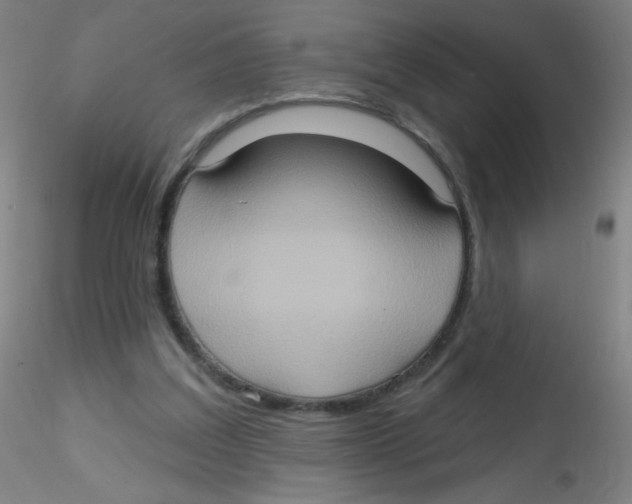 X0000115170203200911251341