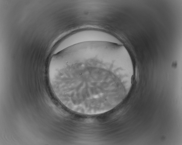 X0000115170204200911251341