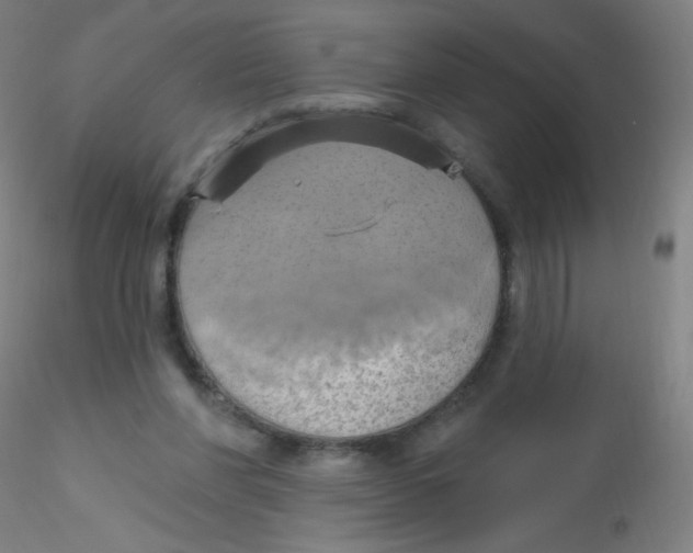 X0000115170206200911251341