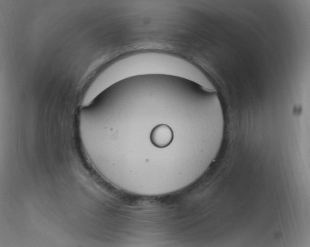 X0000115170207200911251341