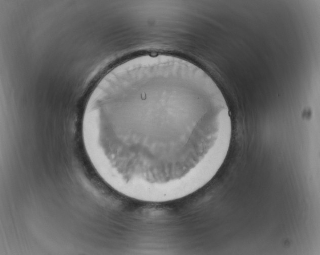 X0000115170208200911251341