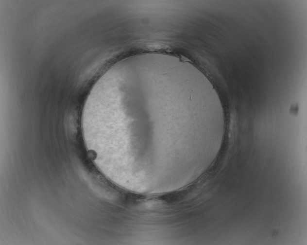 X0000115170210200911251341