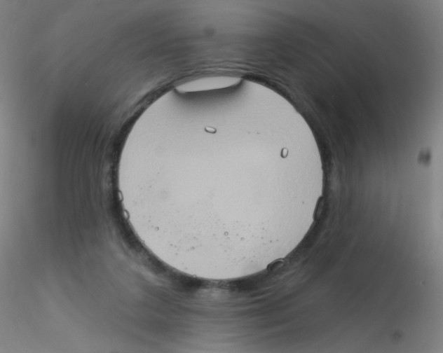 X0000115170211200911251341