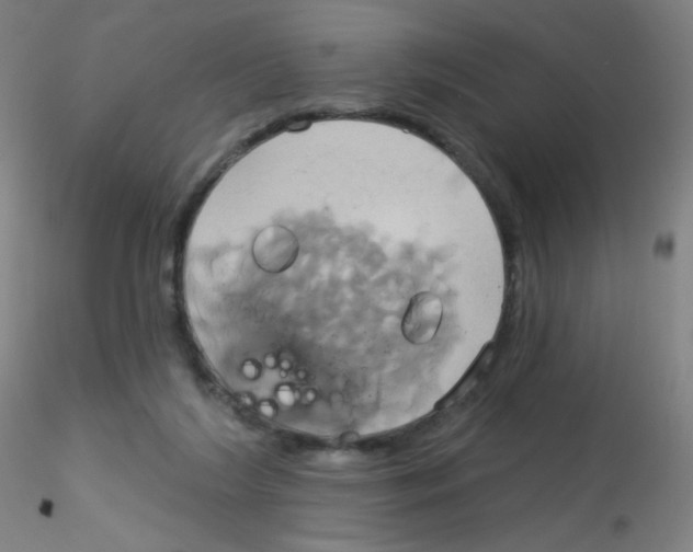 X0000115170212200911251341